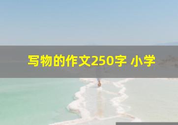 写物的作文250字 小学